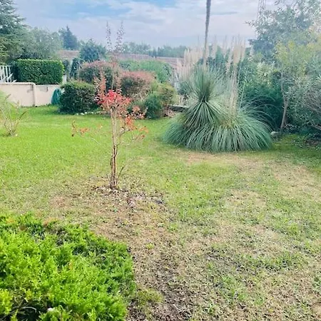 Maison 2 P- Lotissement Avec Piscine